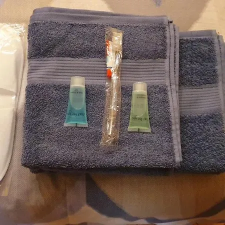 1-комнатная вип уровня посуточно в ужгороде. ул.и.франка. * Oezjhorod