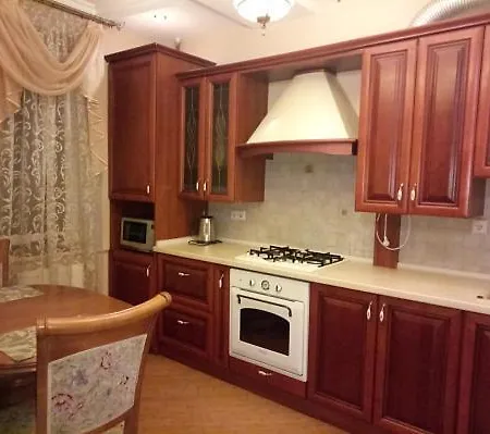 1-комнатная вип уровня посуточно в ужгороде. ул.и.франка. Appartement *