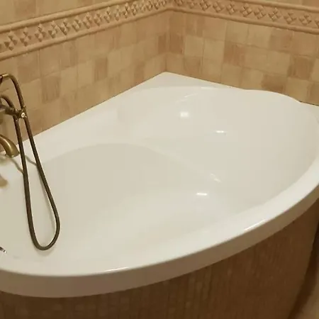 1-комнатная вип уровня посуточно в ужгороде. ул.и.франка.