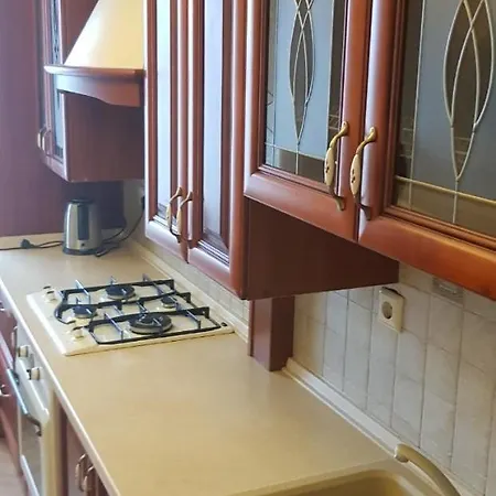 1-комнатная вип уровня посуточно в ужгороде. ул.и.франка. Appartement