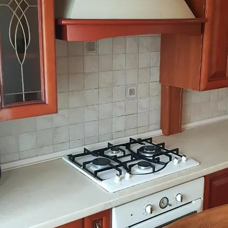 1-комнатная вип уровня посуточно в ужгороде. ул.и.франка. Appartement *