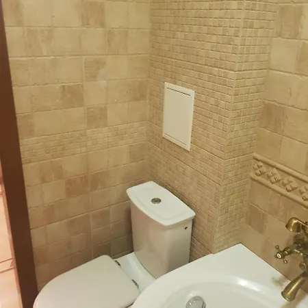 1-комнатная вип уровня посуточно в ужгороде. ул.и.франка. 우주고로트