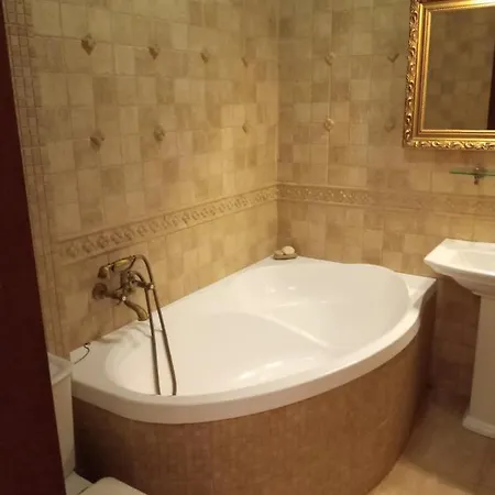 1-комнатная вип уровня посуточно в ужгороде. ул.и.франка. Appartement *