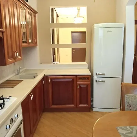 1-комнатная вип уровня посуточно в ужгороде. ул.и.франка.