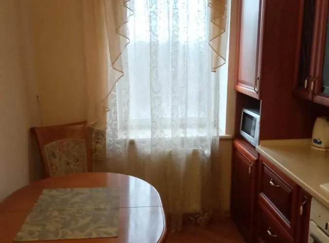 1-комнатная вип уровня посуточно в ужгороде. ул.и.франка. Апартаменты *
